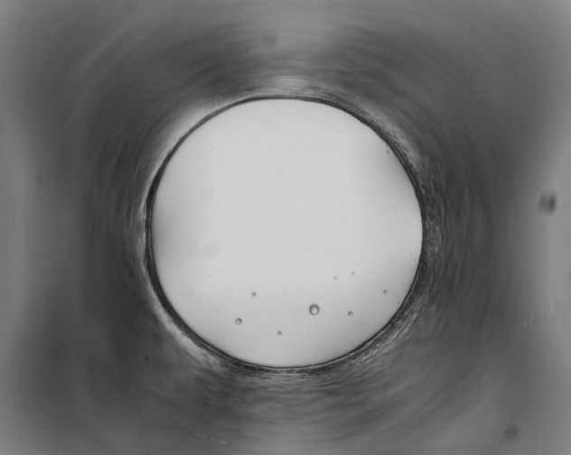 X0000099511479200806121427