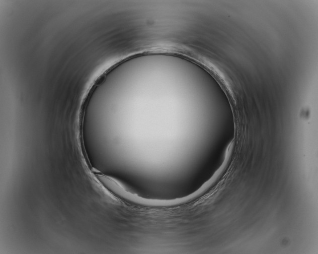 X0000099511480200806121427