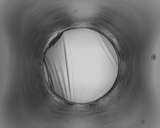 X0000099511481200806121427