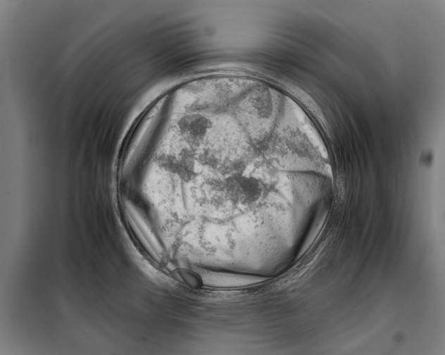 X0000099511482200806121427