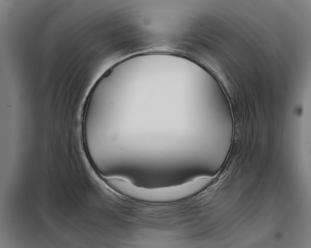 X0000099511483200806121427