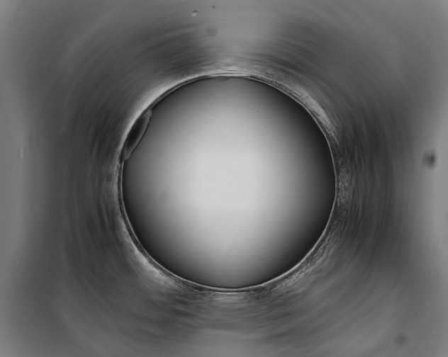 X0000099511484200806121427