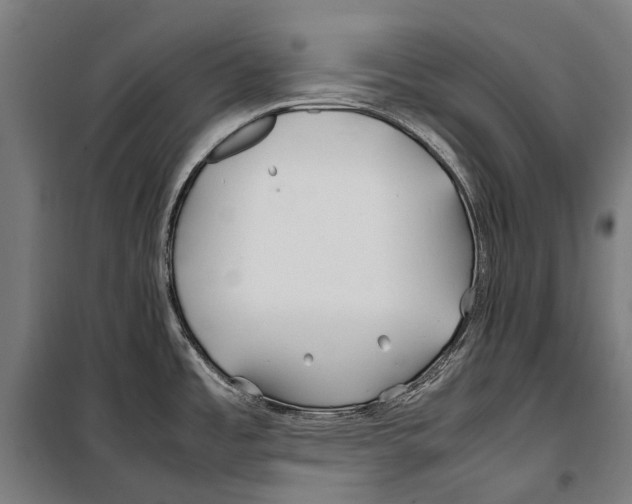 X0000099511485200806121427