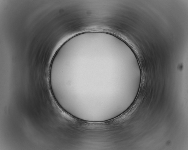 X0000099511486200806121427