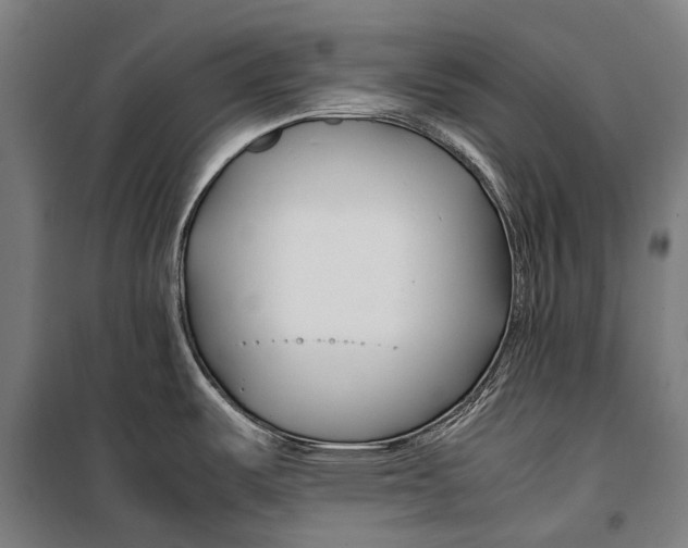 X0000099511487200806121427