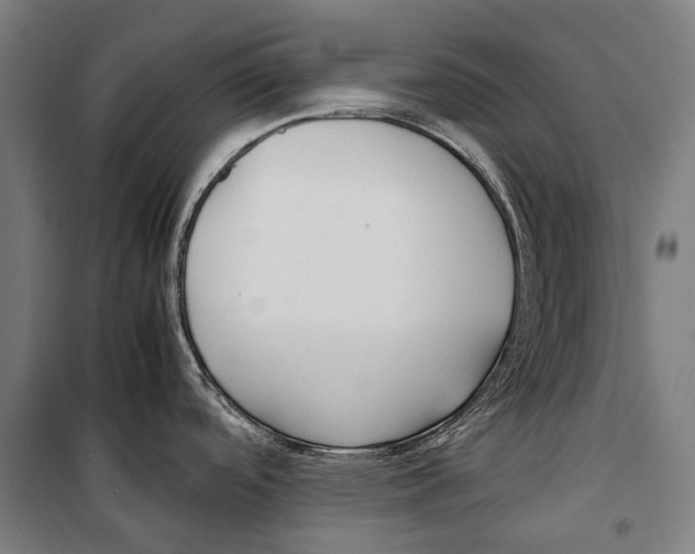 X0000099511488200806121427