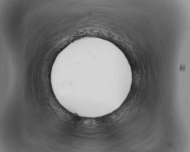 X0000099511489200806121426