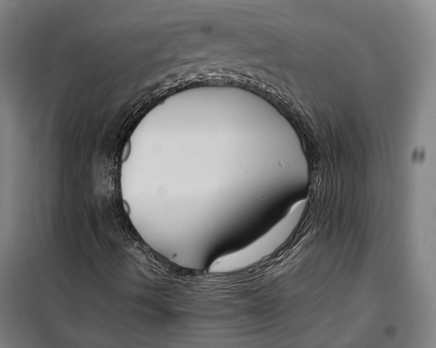 X0000099511490200806121426