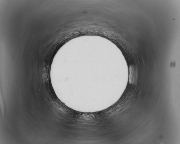 X0000099511491200806121426