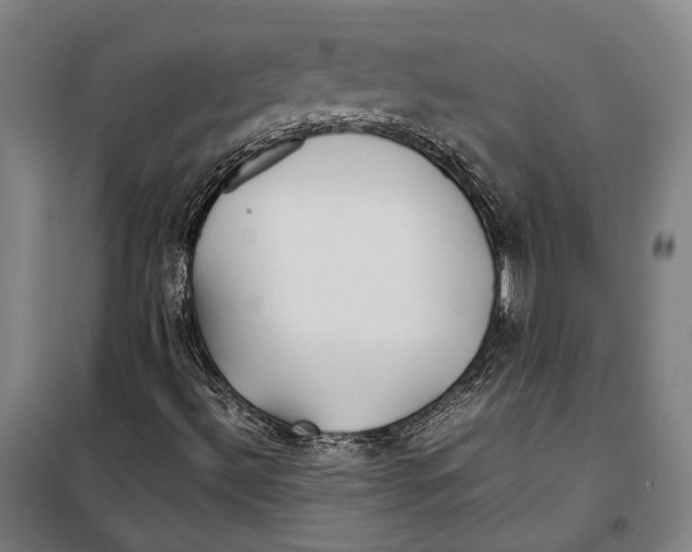 X0000099511492200806121426