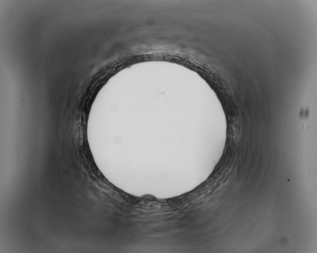 X0000099511493200806121426