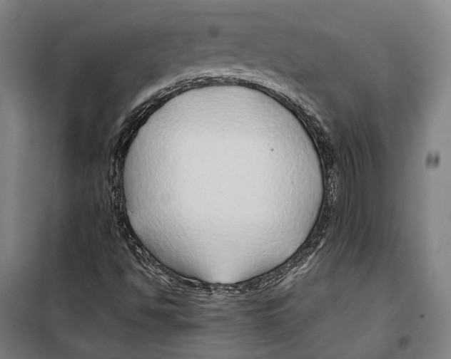 X0000099511494200806121426