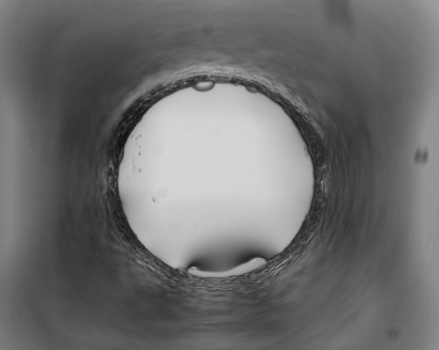 X0000099511495200806121426