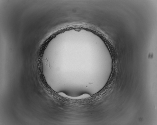 X0000099511496200806121426