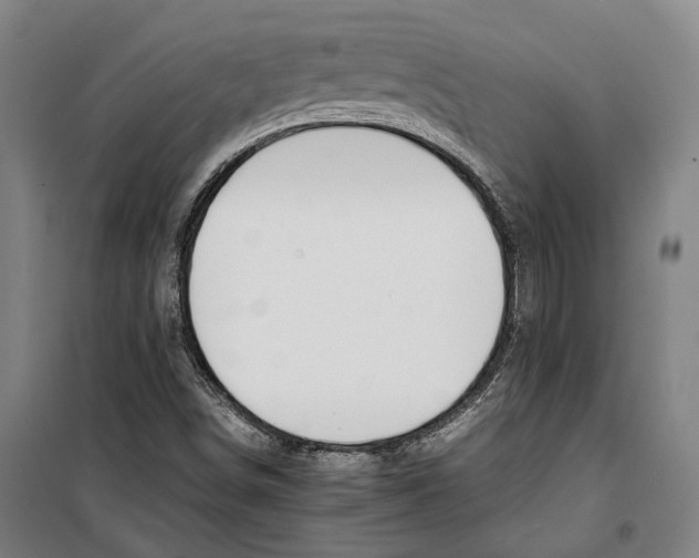 X0000099511498200806121426