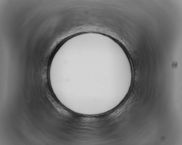 X0000099511499200806121426