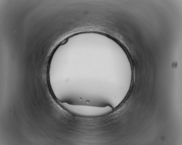 X0000099511500200806121426