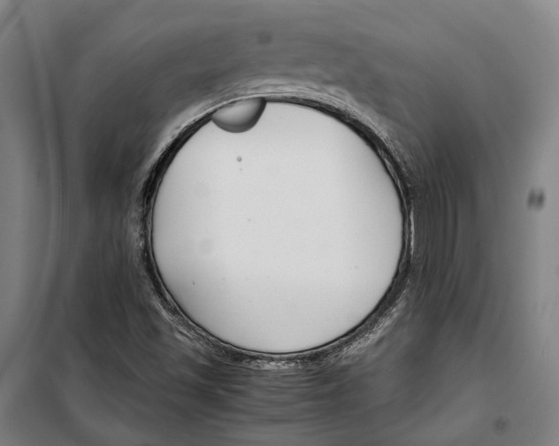 X0000099511501200806121426