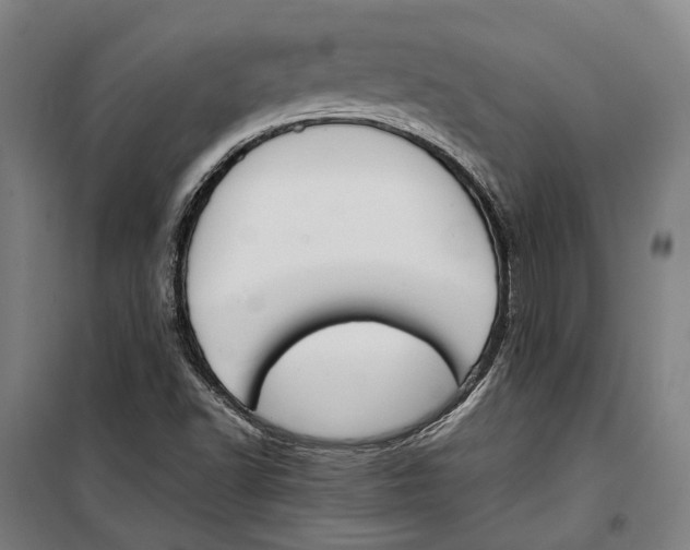 X0000099511502200806121426