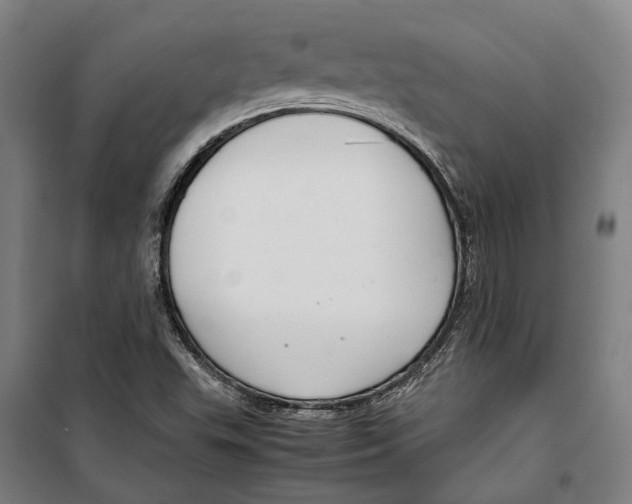 X0000099511503200806121426