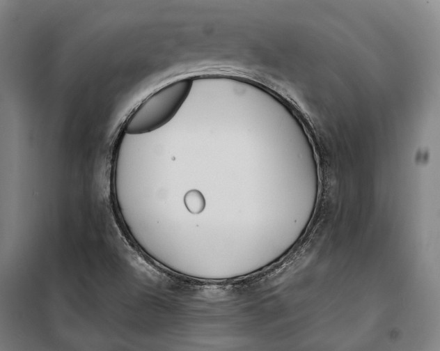 X0000099511504200806121426