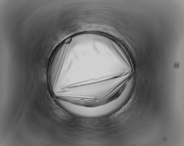 X0000099511505200806121426