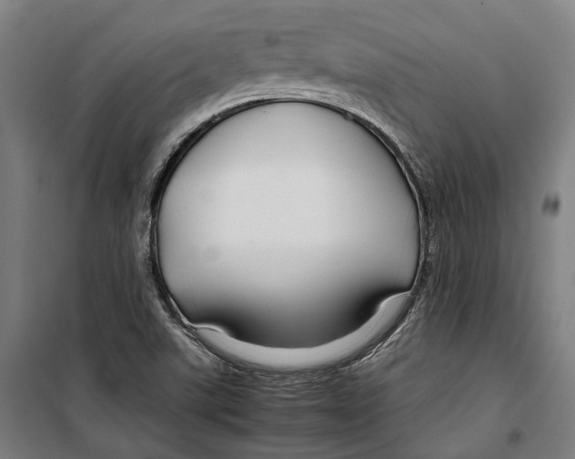 X0000099511507200806121426