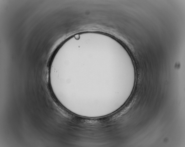 X0000099511509200806121426