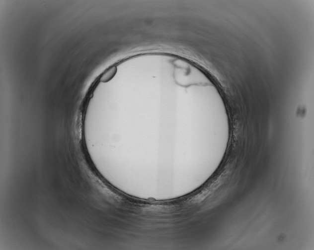 X0000099511510200806121426