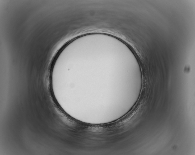 X0000099511511200806121426