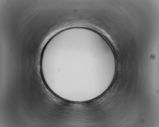 X0000099511512200806121426