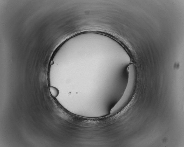 X0000099511513200806121426