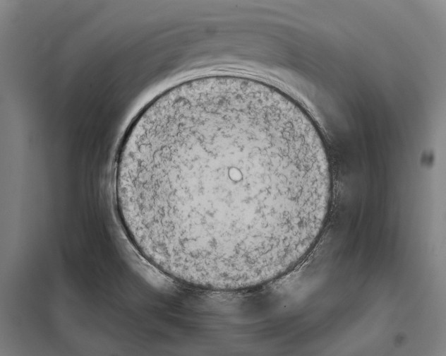 X0000099511514200806121426