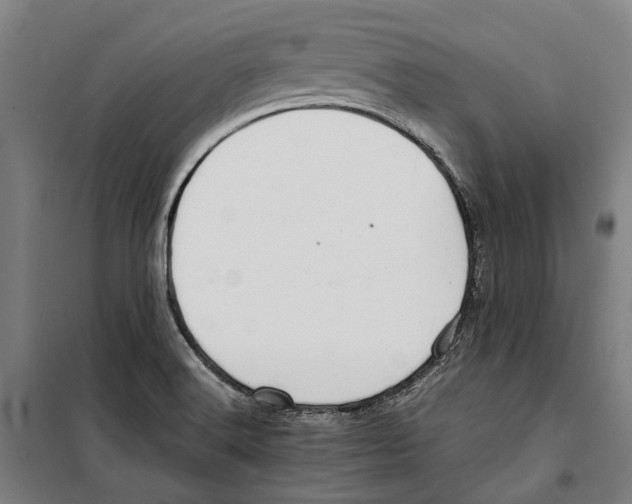 X0000099511516200806121426