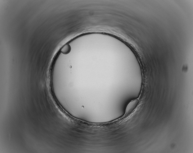 X0000099511517200806121426