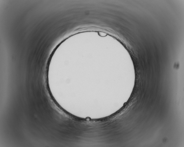 X0000099511518200806121426