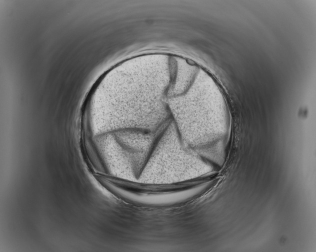 X0000099511519200806121426