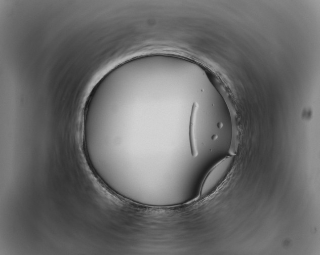 X0000099511520200806121427