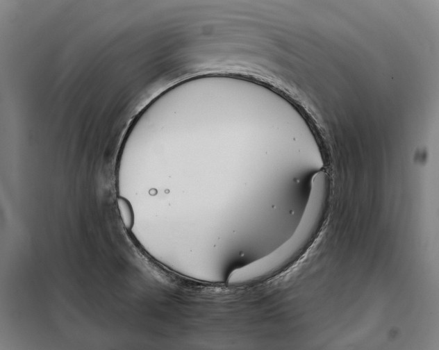 X0000099511521200806121427