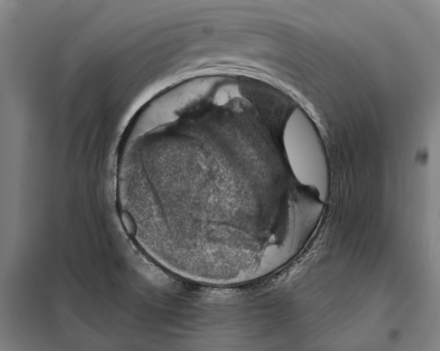 X0000099511522200806121427