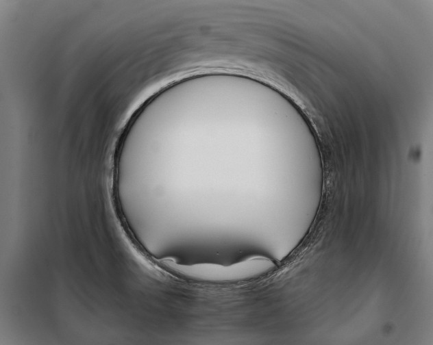 X0000099511523200806121427