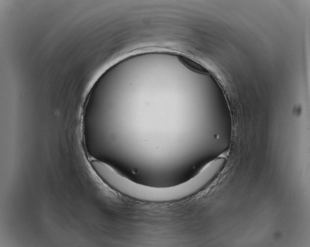 X0000099511524200806121427