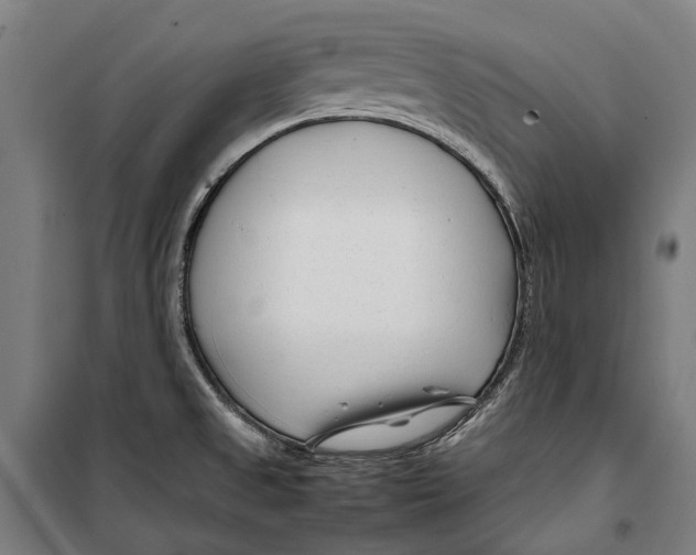 X0000099511525200806121427