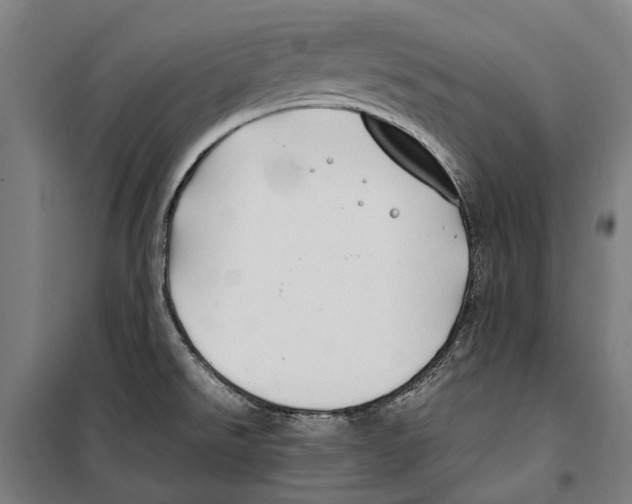 X0000099511526200806121427