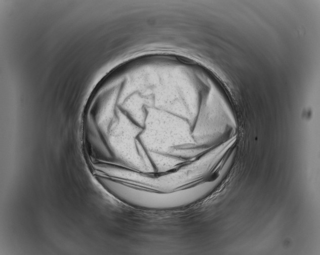 X0000099511527200806121427