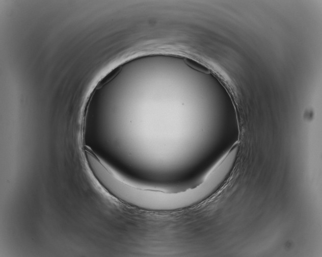 X0000099511528200806121427