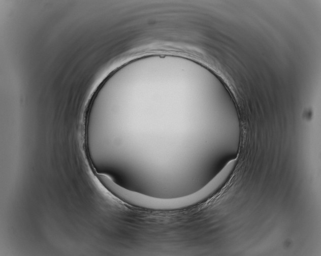 X0000099511531200806121427