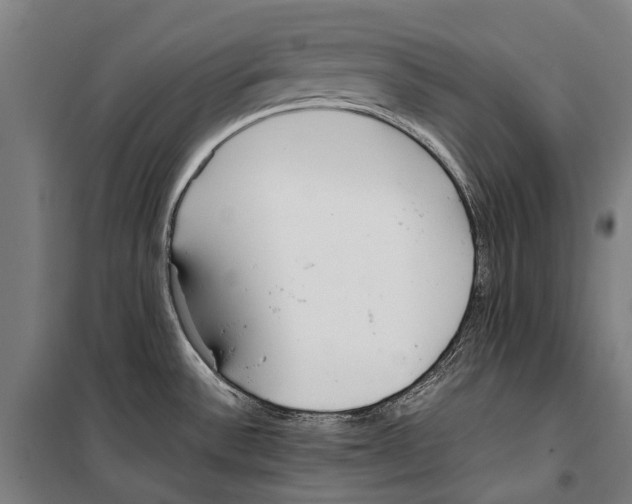 X0000099511532200806121427