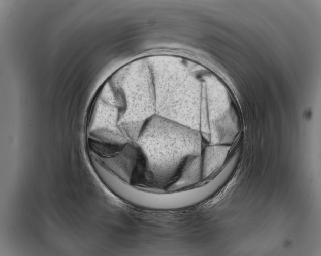 X0000099511533200806121427