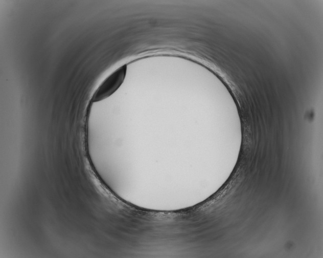 X0000099511534200806121427